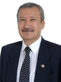 Ethem Tolga