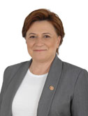 Fatma Güldemet Sarı